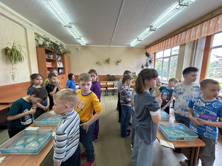 30 мая – второй день летней смены в пришкольном лагере "Весёлый".